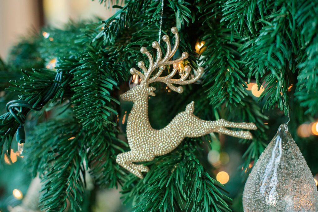 a christmas ornament hanging from a christmas tree.