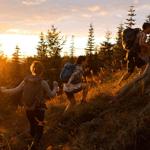 a group of people hiking up a hill at sunset.