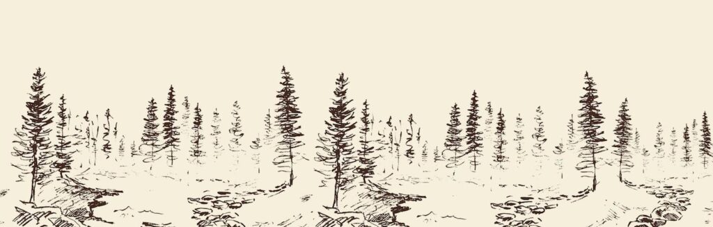 a drawing of a line of trees in the snow.